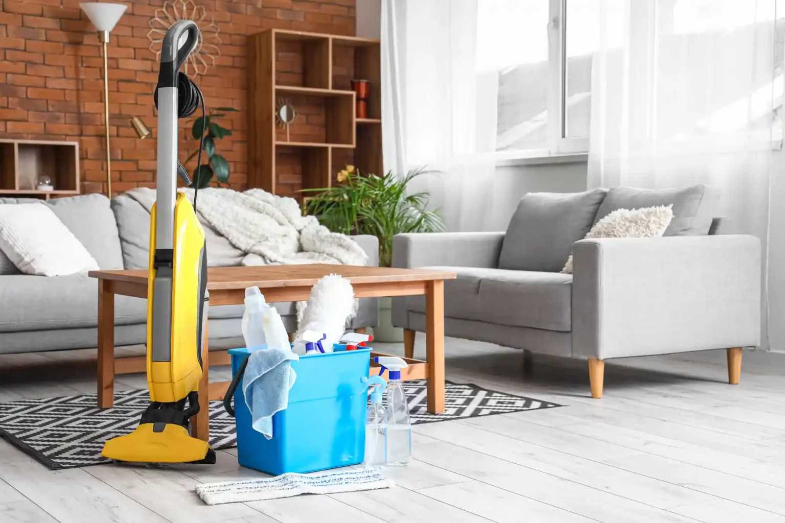 House Cleaning